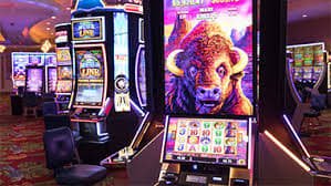 1313bet 1313bet